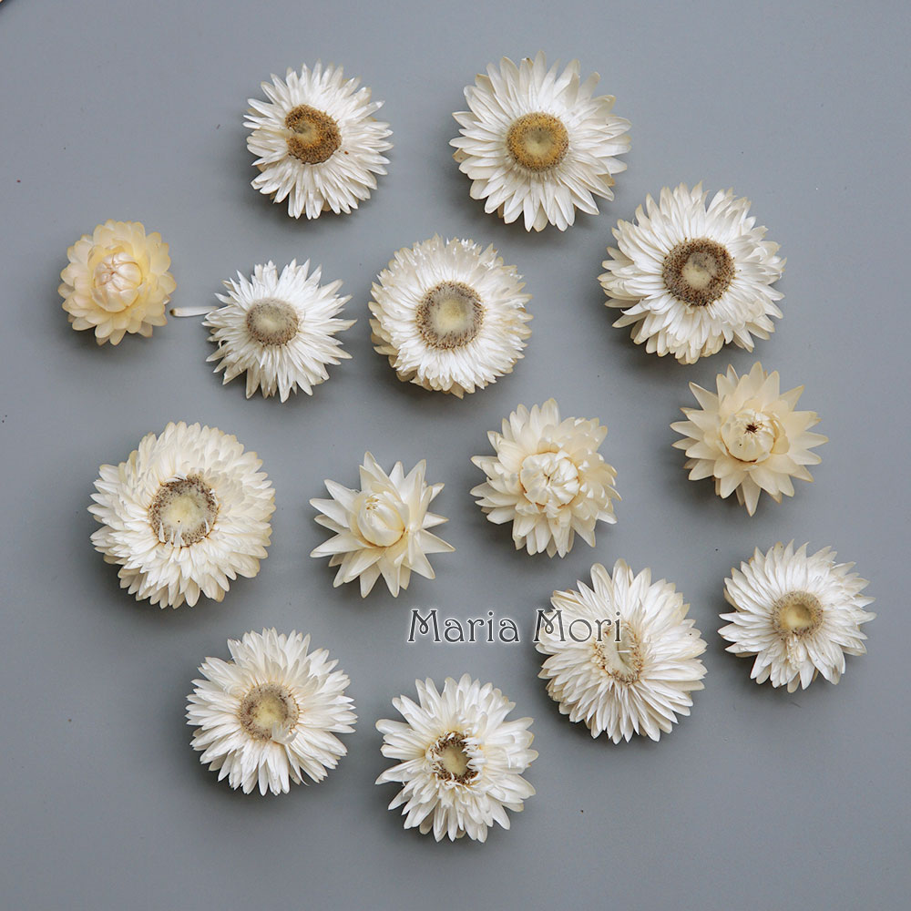 Baby Products Expo - Natural Dried Colorful Chrysanthemum Wreath Handmade